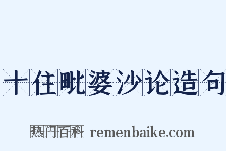 十住毗婆沙论造句是什么意思的图片